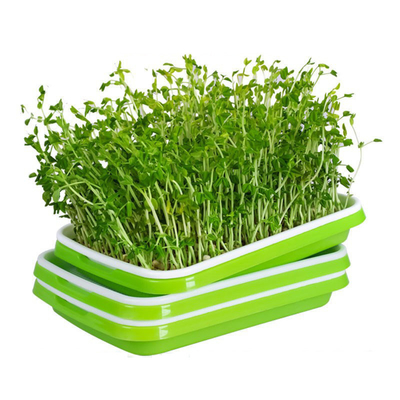 صواني PP Microgreen قابلة لإعادة التدوير مع غطاء غطاء استخدام المطبخ